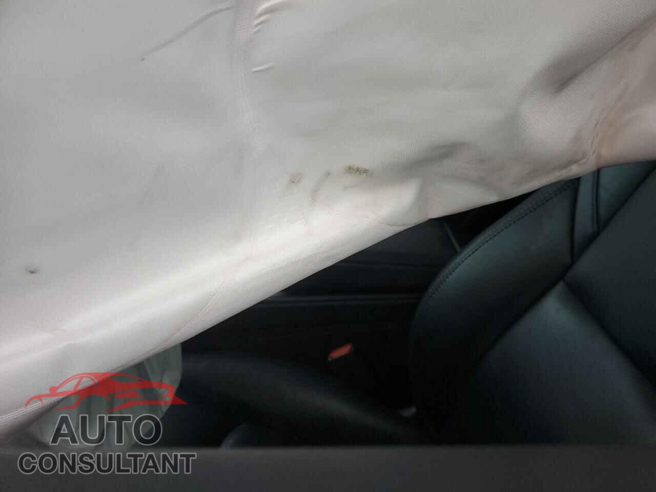 TESLA MODEL Y 2023 - 7SAYGAEE6PF966151