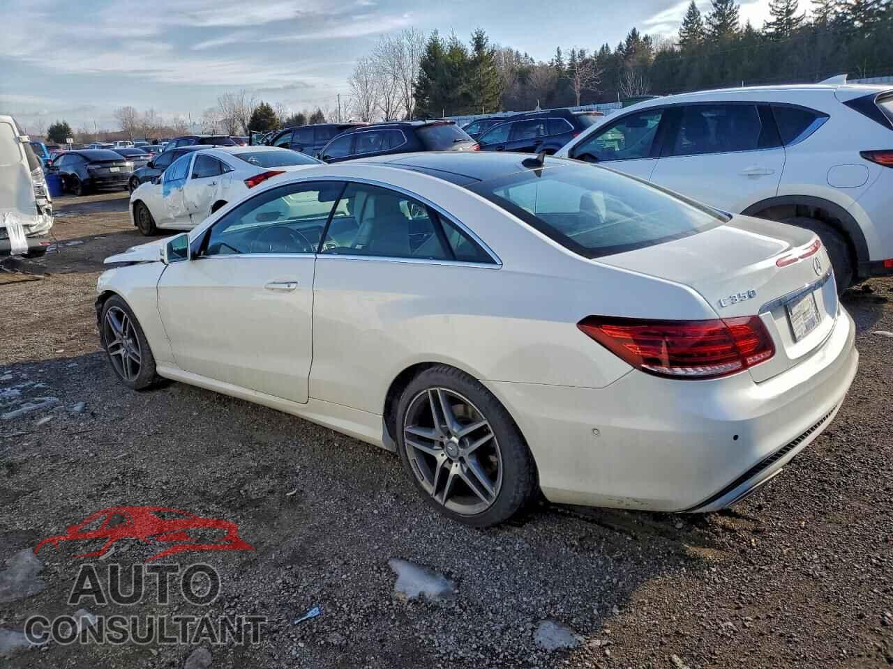 MERCEDES-BENZ E-CLASS 2014 - WDDKJ8JBXEF262039