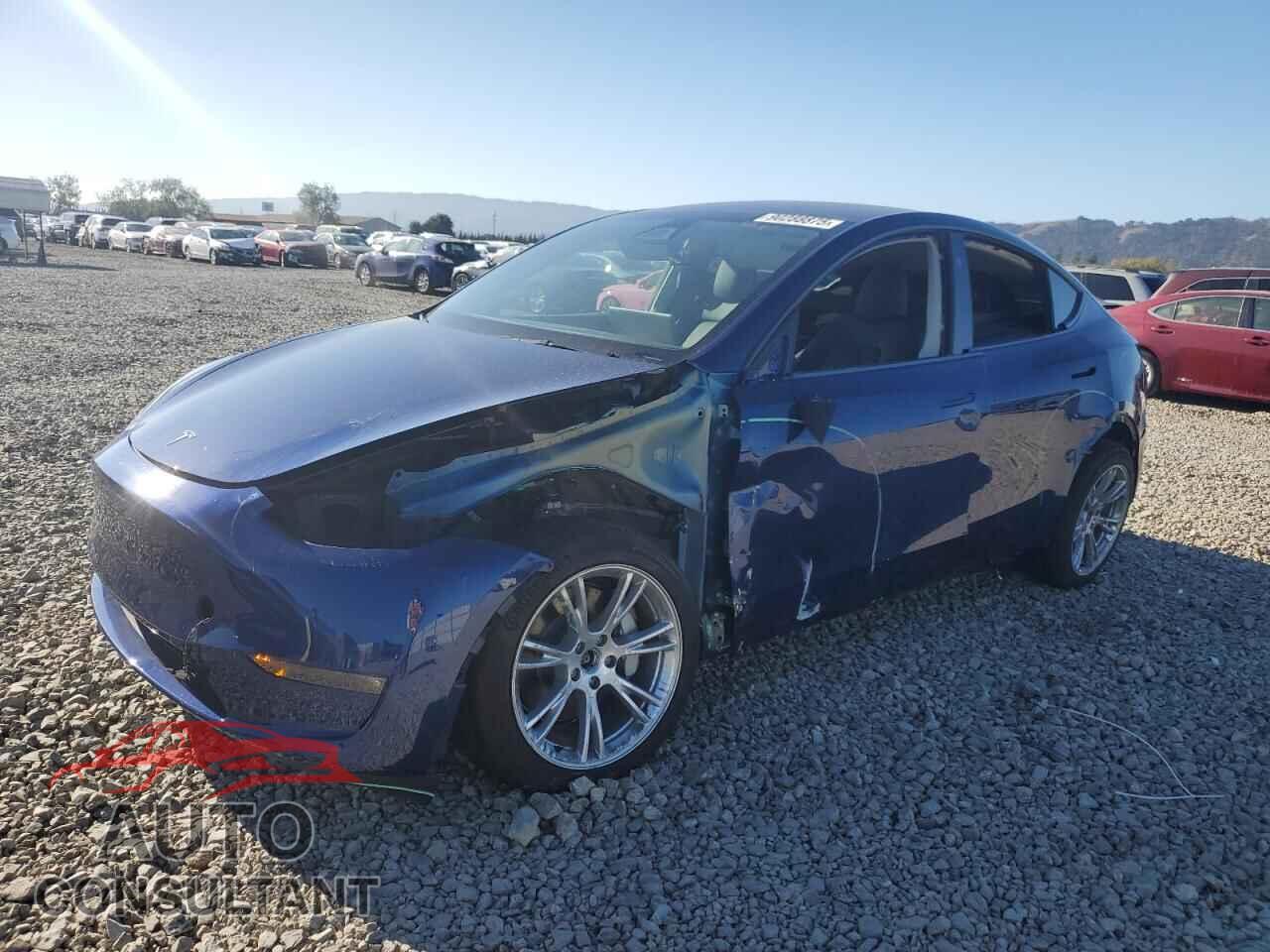 TESLA MODEL Y 2024 - 7SAYGDEEXRF032188