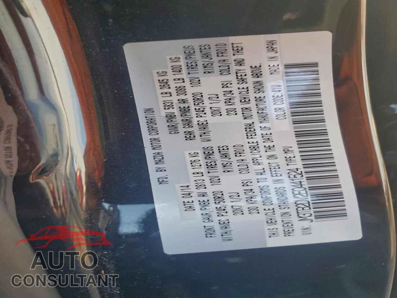 MAZDA CX-9 2014 - JM3TB2DV2E0441524