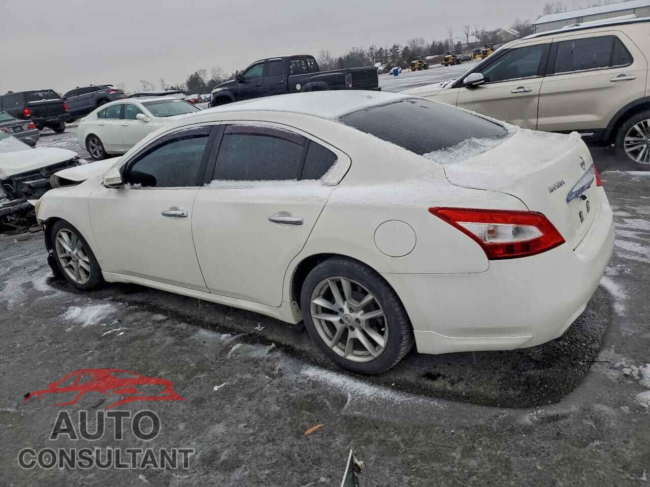 NISSAN MAXIMA 2010 - 1N4AA5AP1AC825433