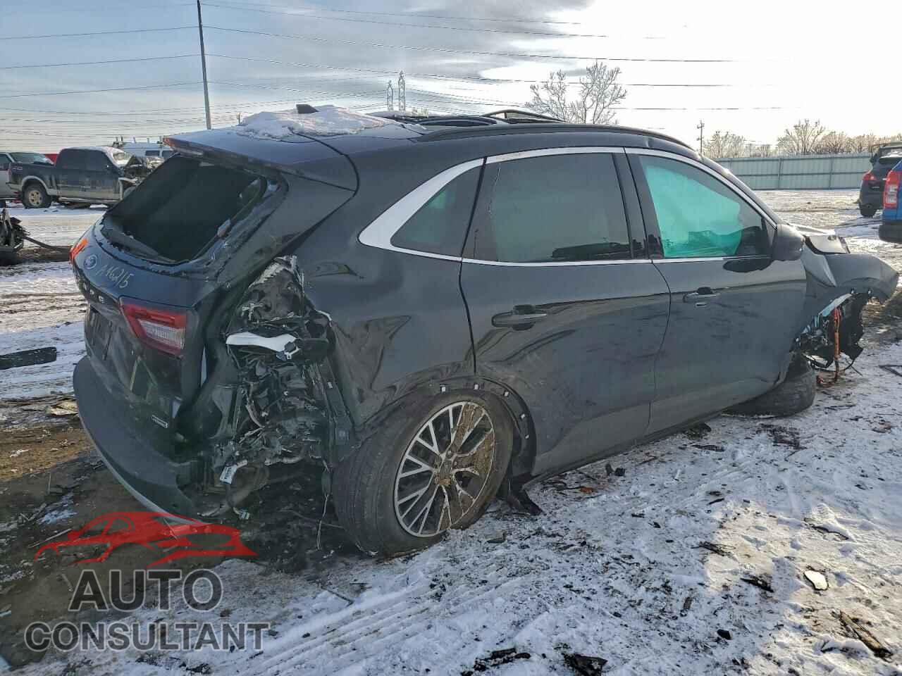 FORD ESCAPE 2025 - 1FMCU0E14SUA46215