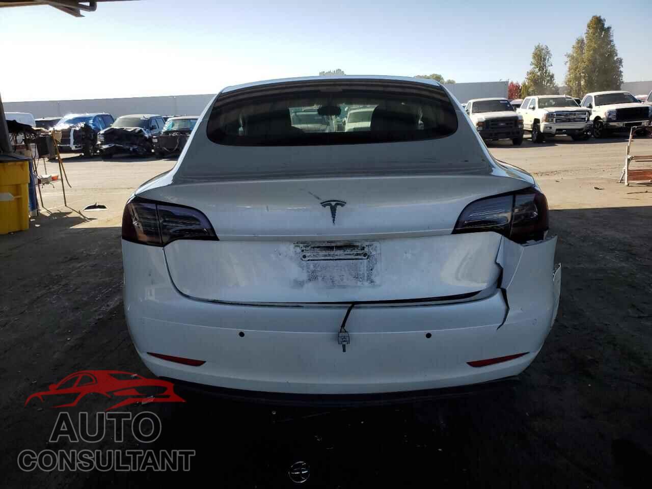 TESLA MODEL 3 2020 - 5YJ3E1EA2LF631800