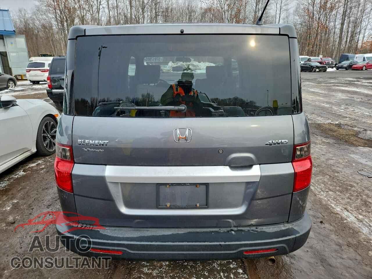 HONDA ELEMENT 2011 - 5J6YH2H31BL000459