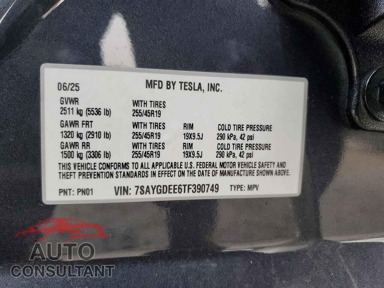 TESLA MODEL Y 2026 - 7SAYGDEE6TF390749