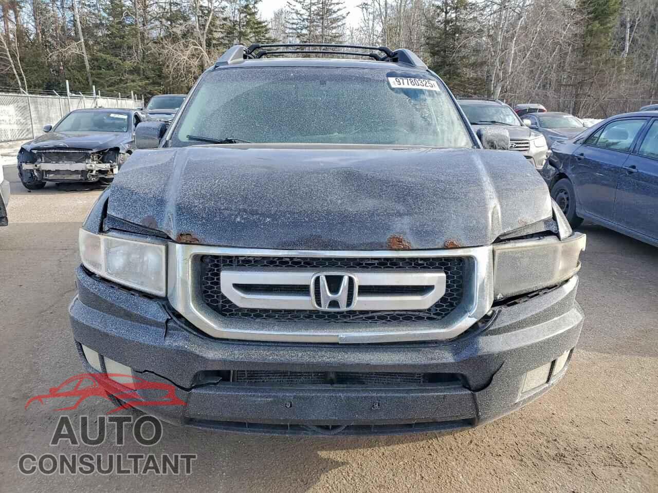 HONDA RIDGELINE 2011 - 5FPYK1F54BB501152