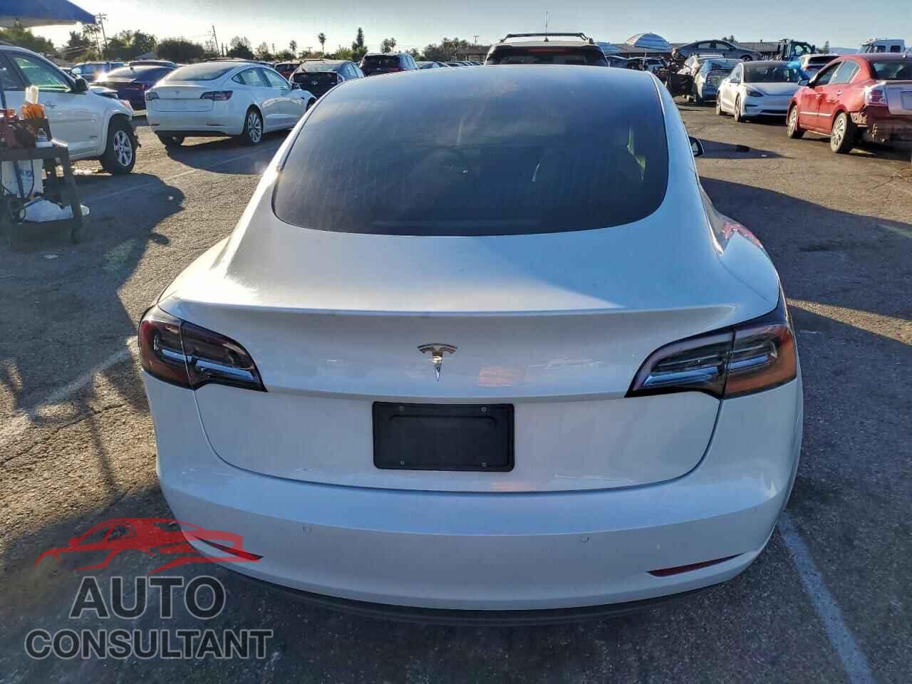 TESLA MODEL 3 2020 - 5YJ3E1EA2LF615550