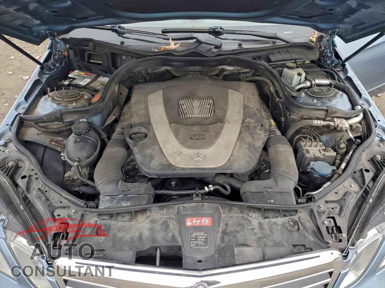 MERCEDES-BENZ E-CLASS 2010 - WDDHF8HB3AA225844