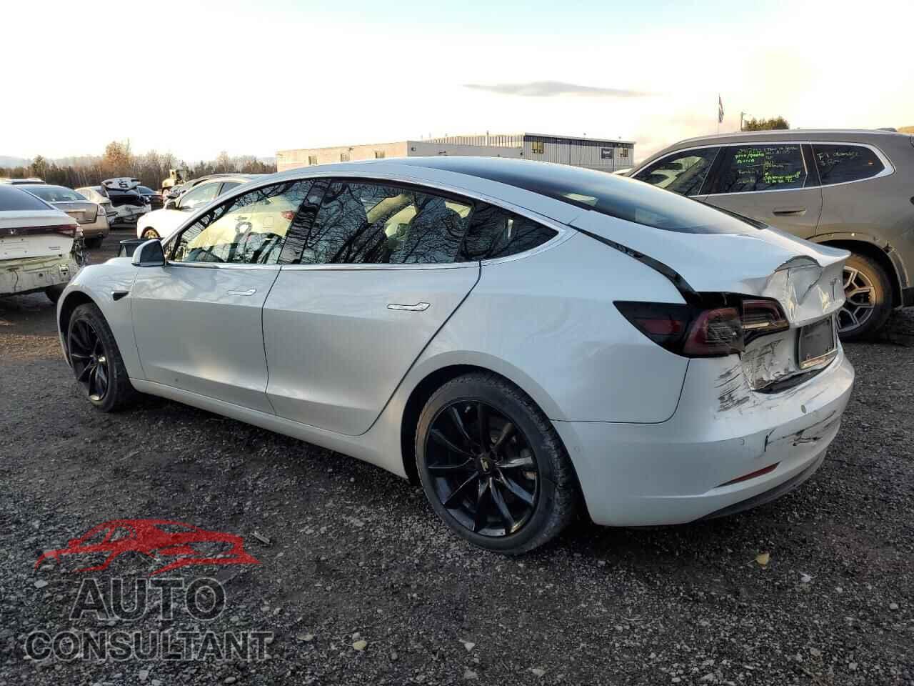 TESLA MODEL 3 2020 - 5YJ3E1EA1LF591354