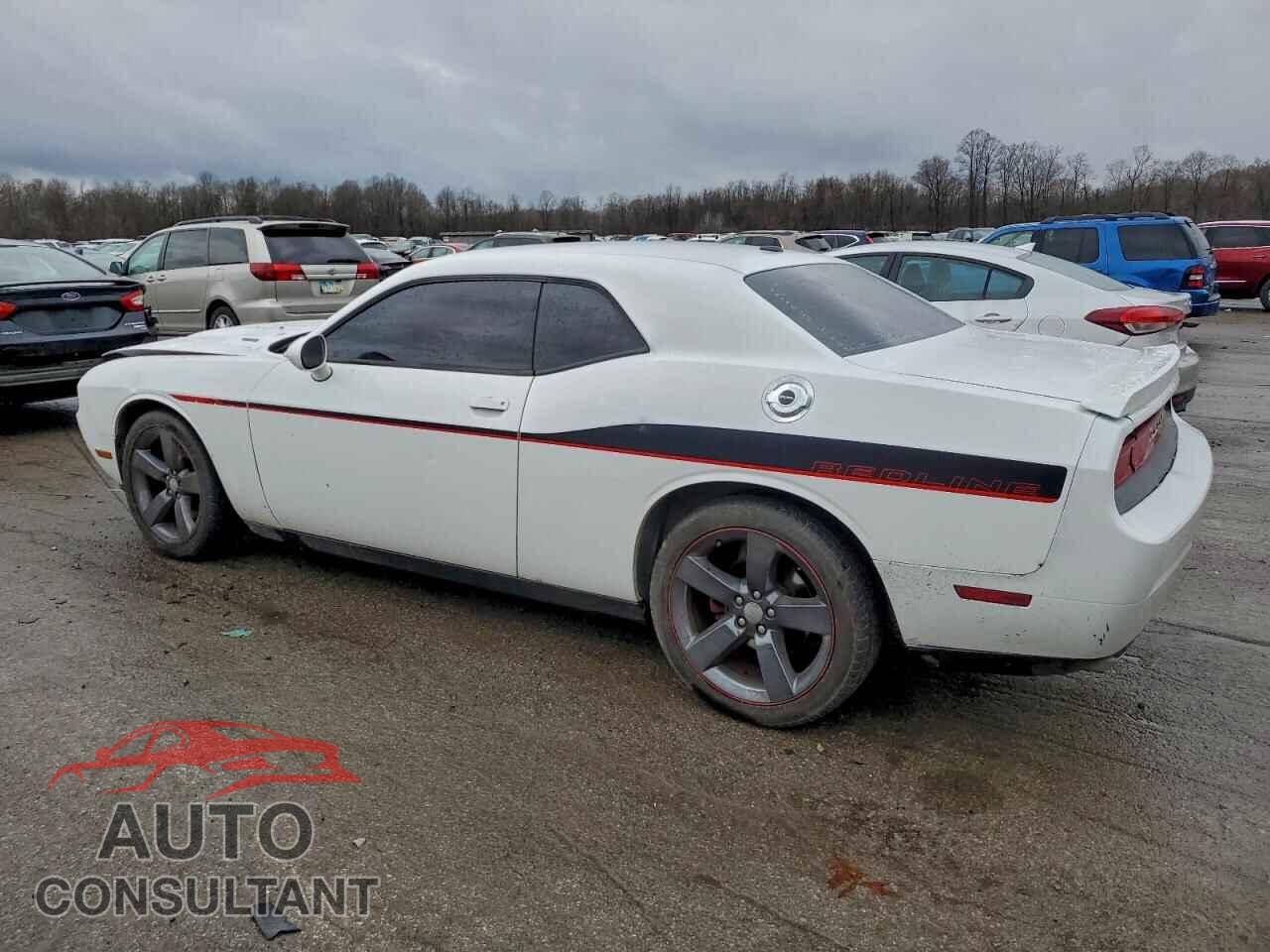 DODGE CHALLENGER 2014 - 2C3CDYBT0EH139964
