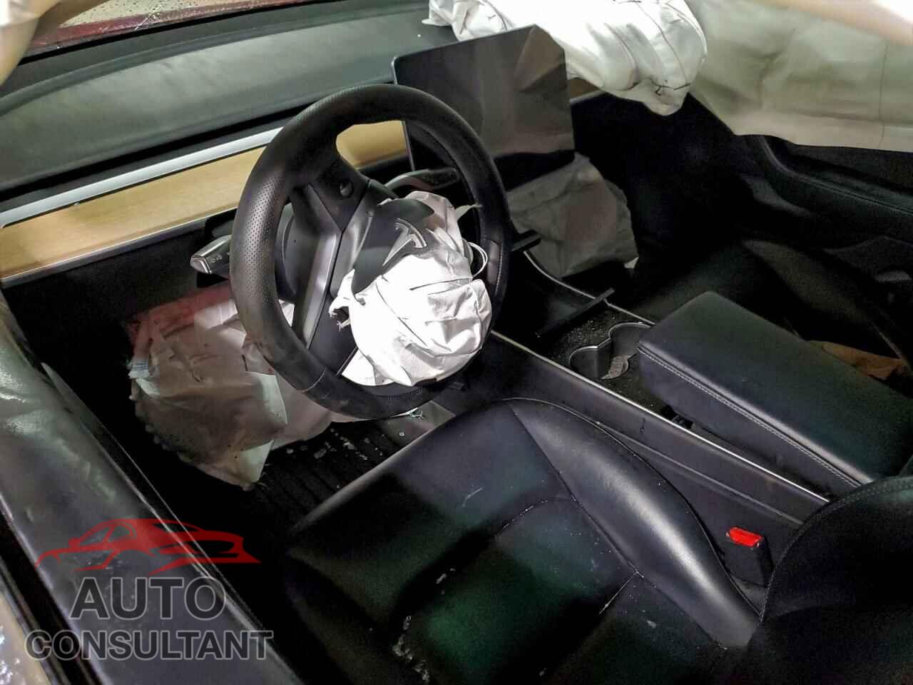 TESLA MODEL 3 2019 - 5YJ3E1EAXKF484561
