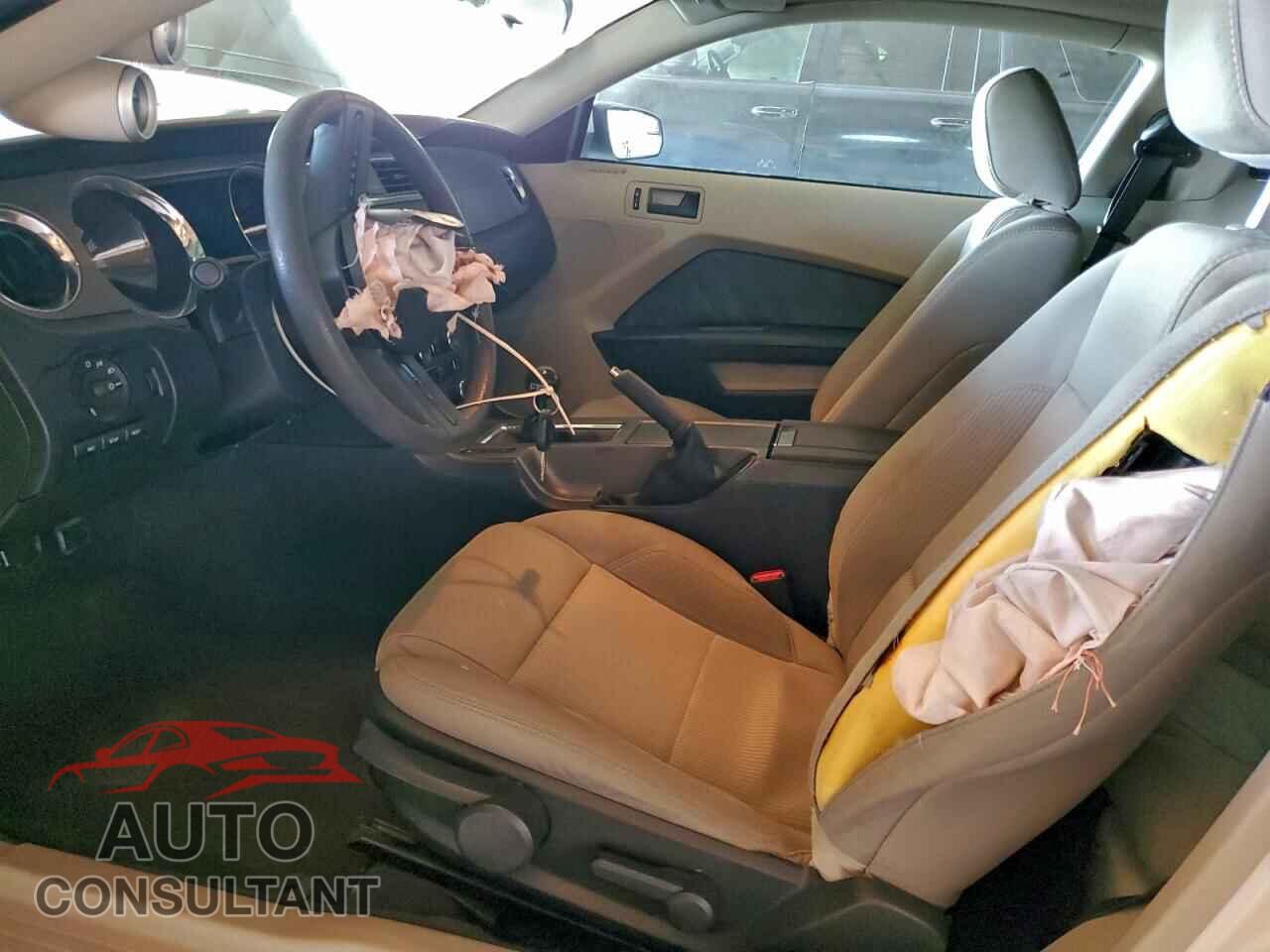 FORD MUSTANG 2011 - 1ZVBP8CF9B5155314