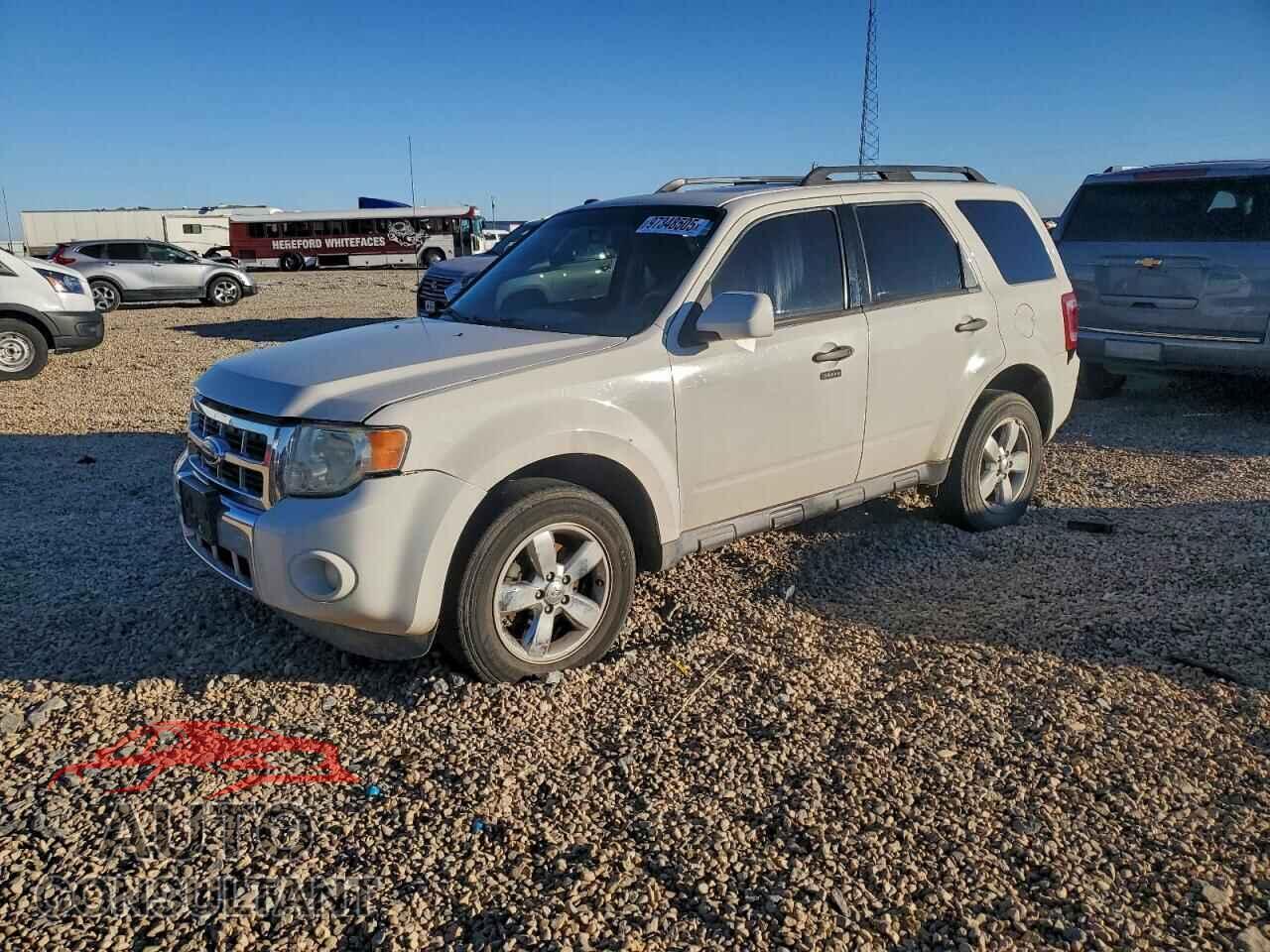 FORD ESCAPE 2010 - 1FMCU9D76AKA72481