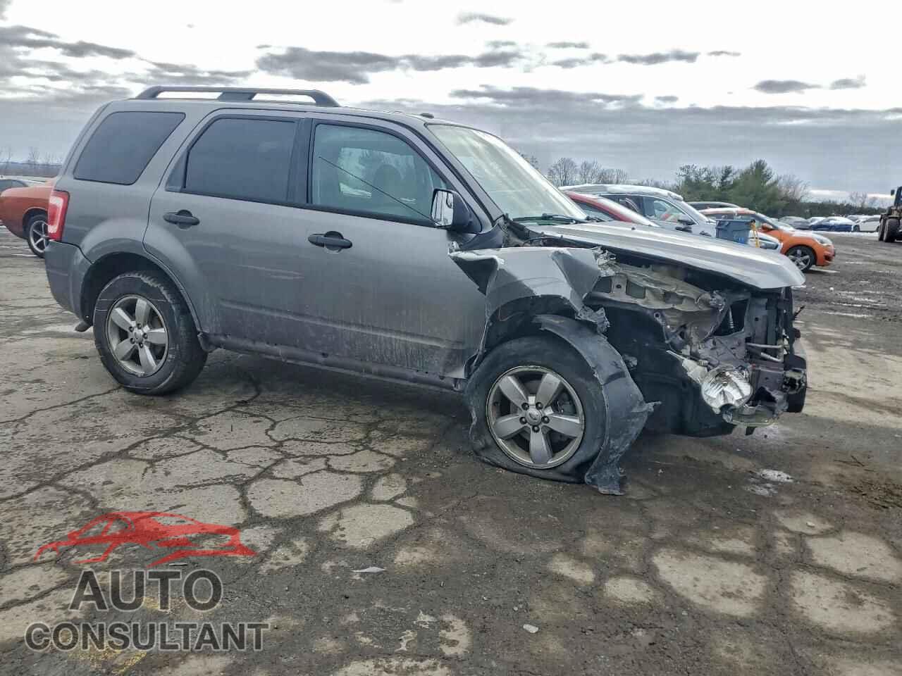 FORD ESCAPE 2010 - 1FMCU0DG9AKD41620
