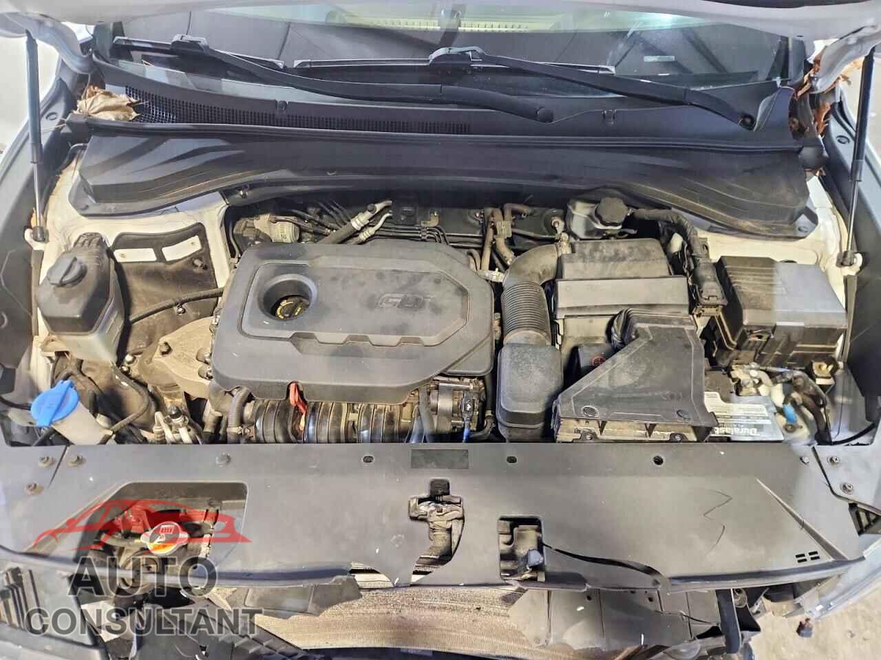 HYUNDAI SANTA FE 2019 - 5NMS2CAD5KH008359