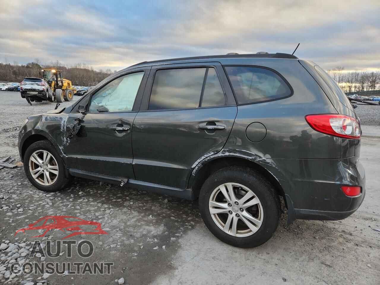 HYUNDAI SANTA FE 2010 - 5NMSGDAB9AH403889