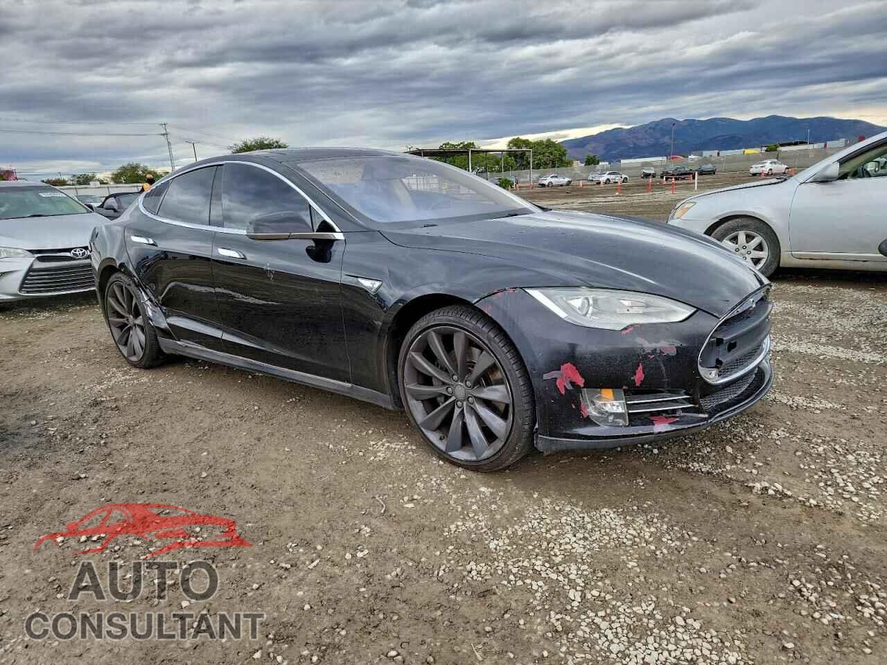 TESLA MODEL S 2013 - 5YJSA1DG8DFP03663