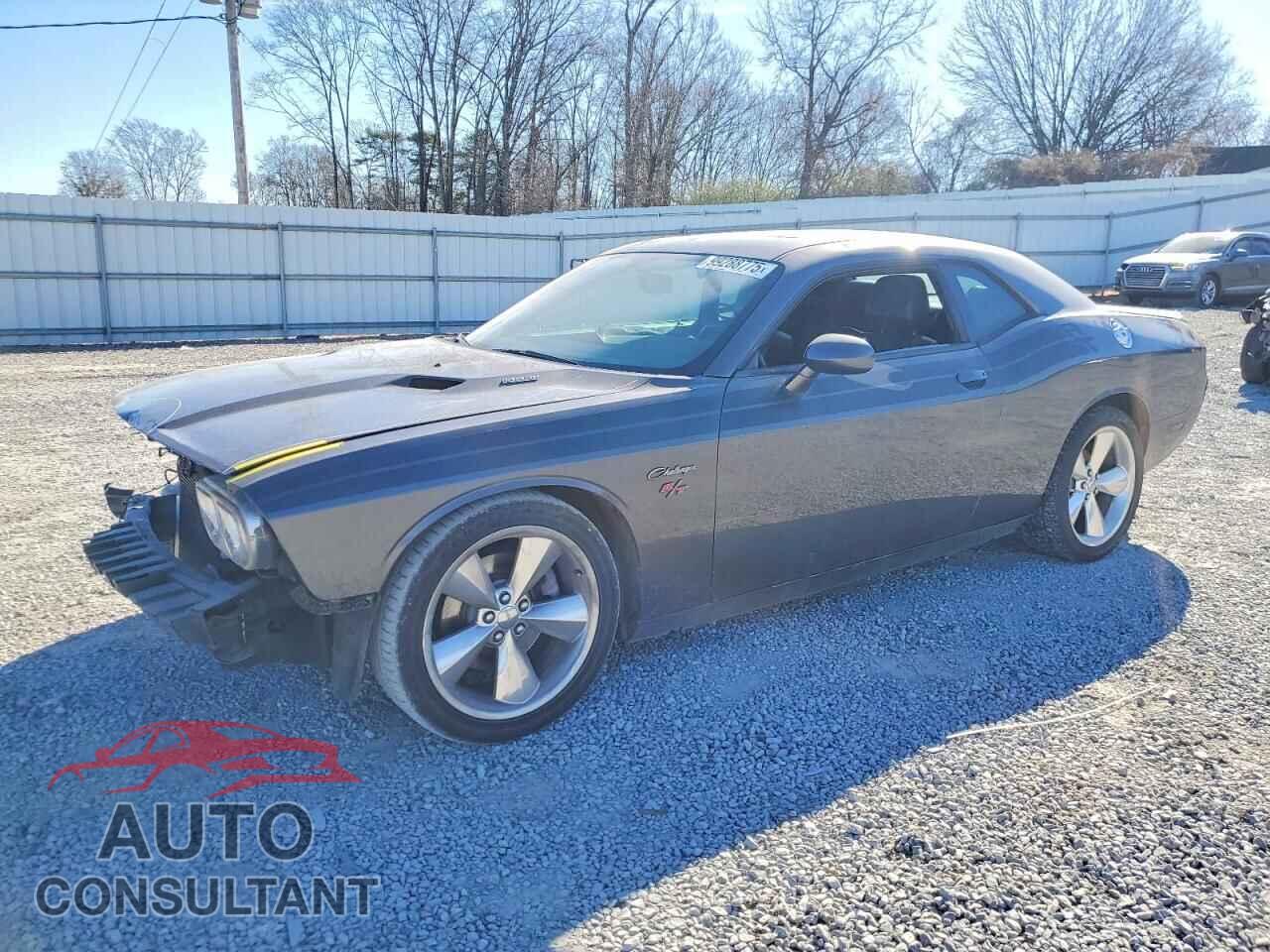 DODGE CHALLENGER 2014 - 2C3CDYBT8EH313408