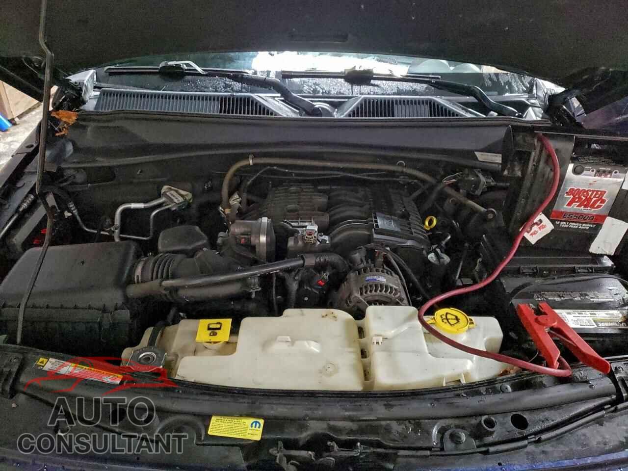 DODGE NITRO 2011 - 1D4PU7GX7BW570000