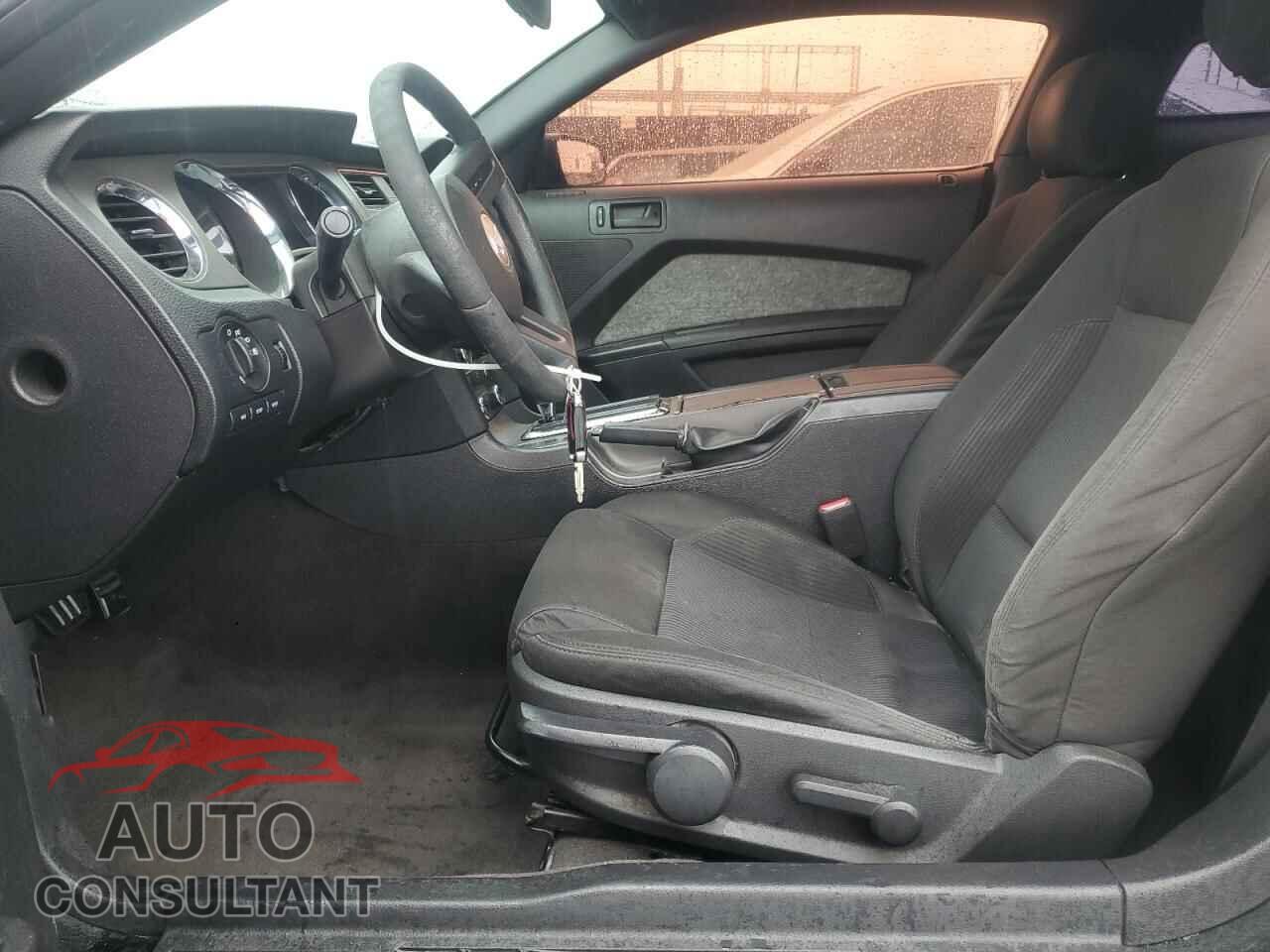 FORD MUSTANG 2012 - 1ZVBP8CF3C5266510
