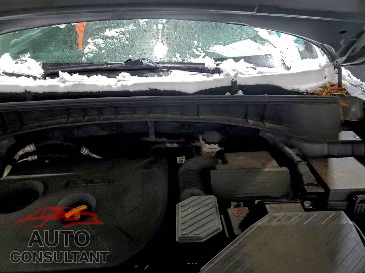HYUNDAI TUCSON 2017 - KM8J3CA43HU431544