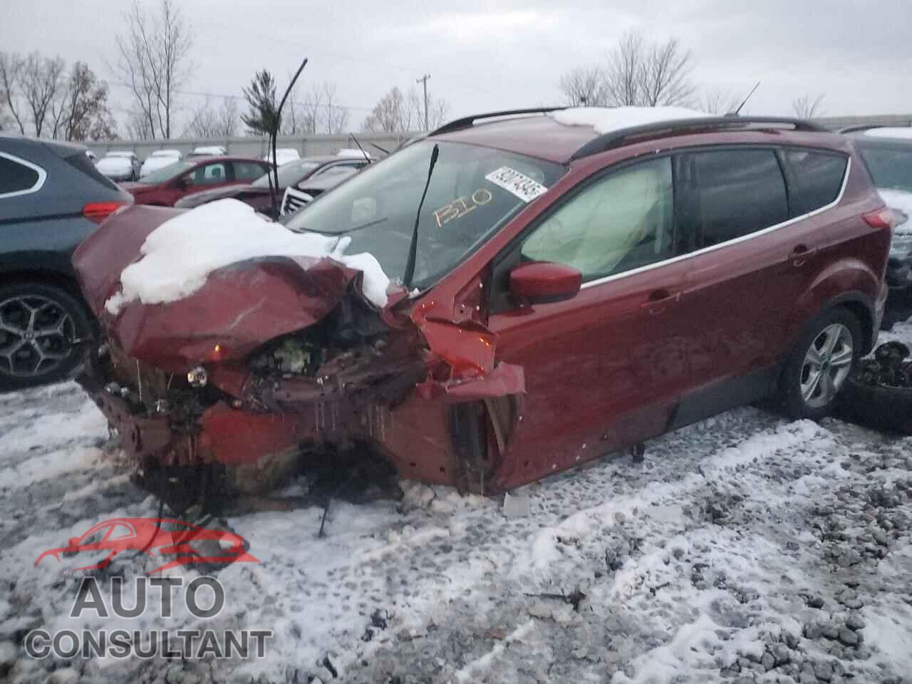 FORD ESCAPE 2014 - 1FMCU0GX9EUC20219