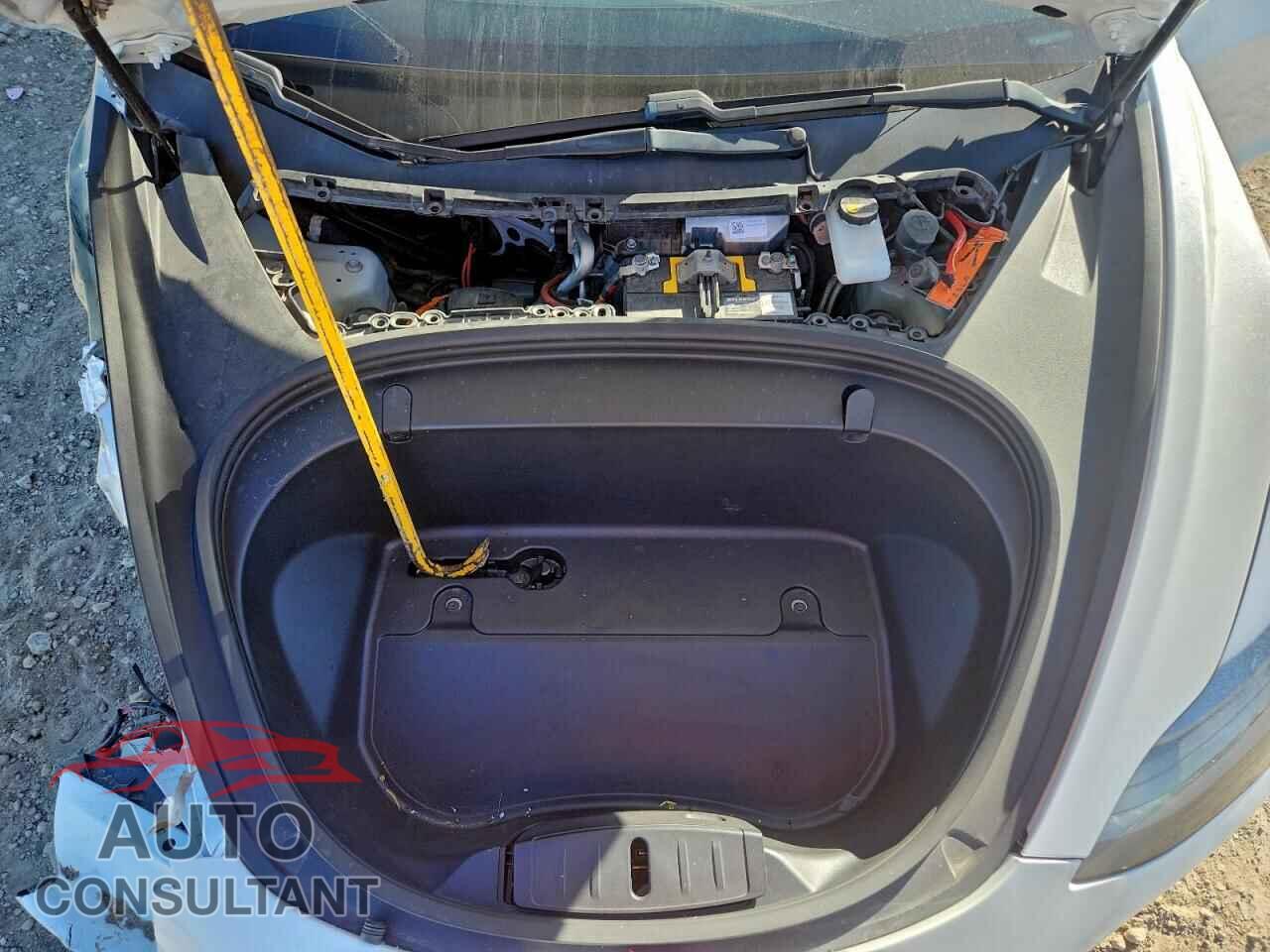 TESLA MODEL 3 2019 - 5YJ3E1EA3KF313019