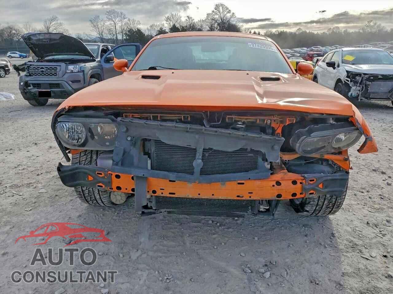 DODGE CHALLENGER 2014 - 2C3CDYAG8EH218495