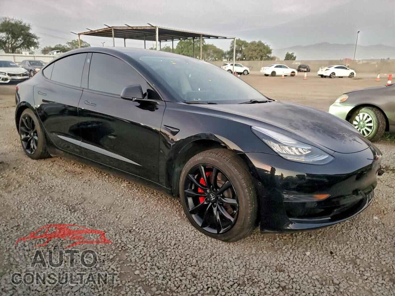 TESLA MODEL 3 2019 - 5YJ3E1EB0KF384249