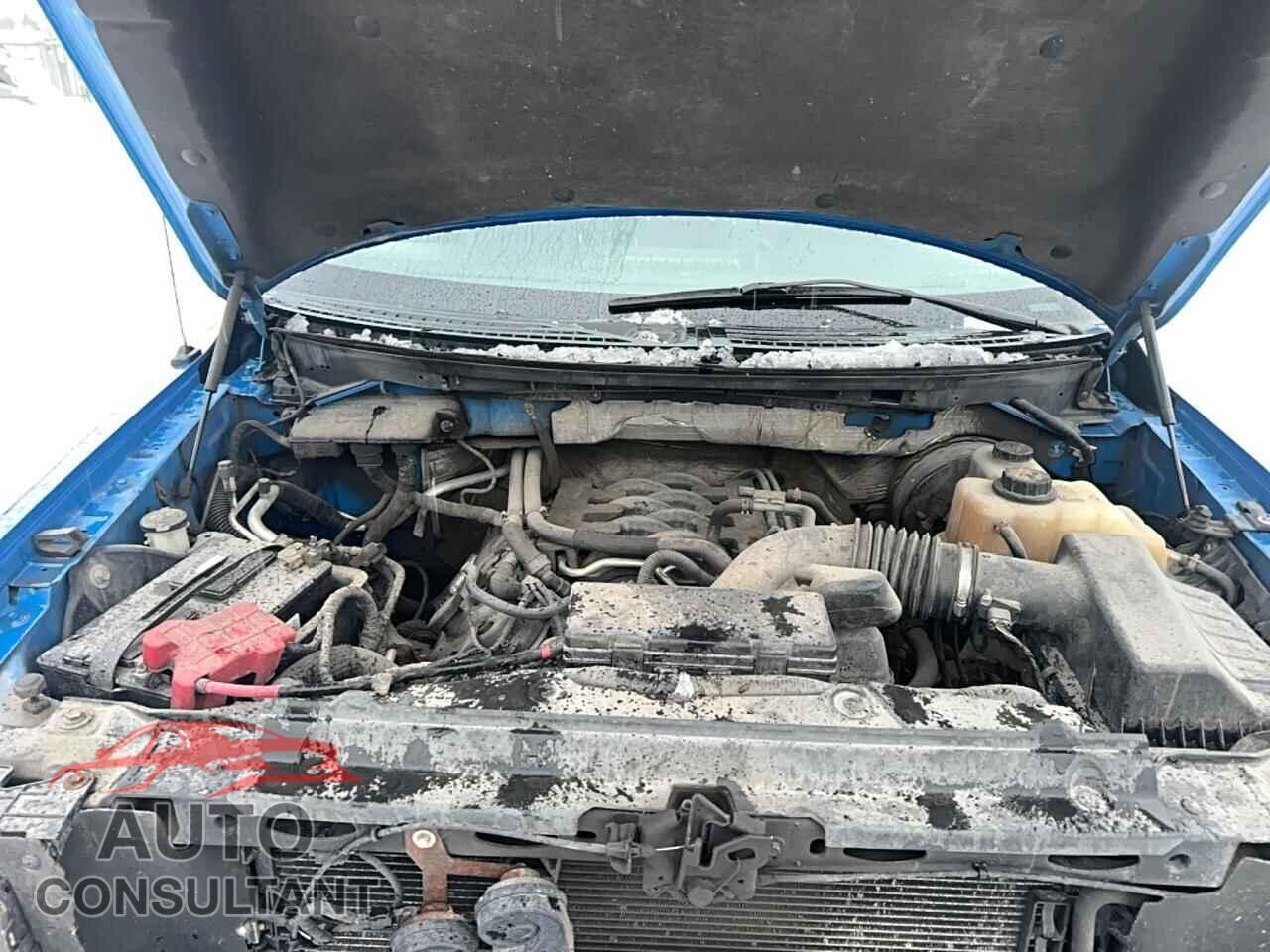 FORD F-150 2011 - 1FTFX1CF3BFB18474