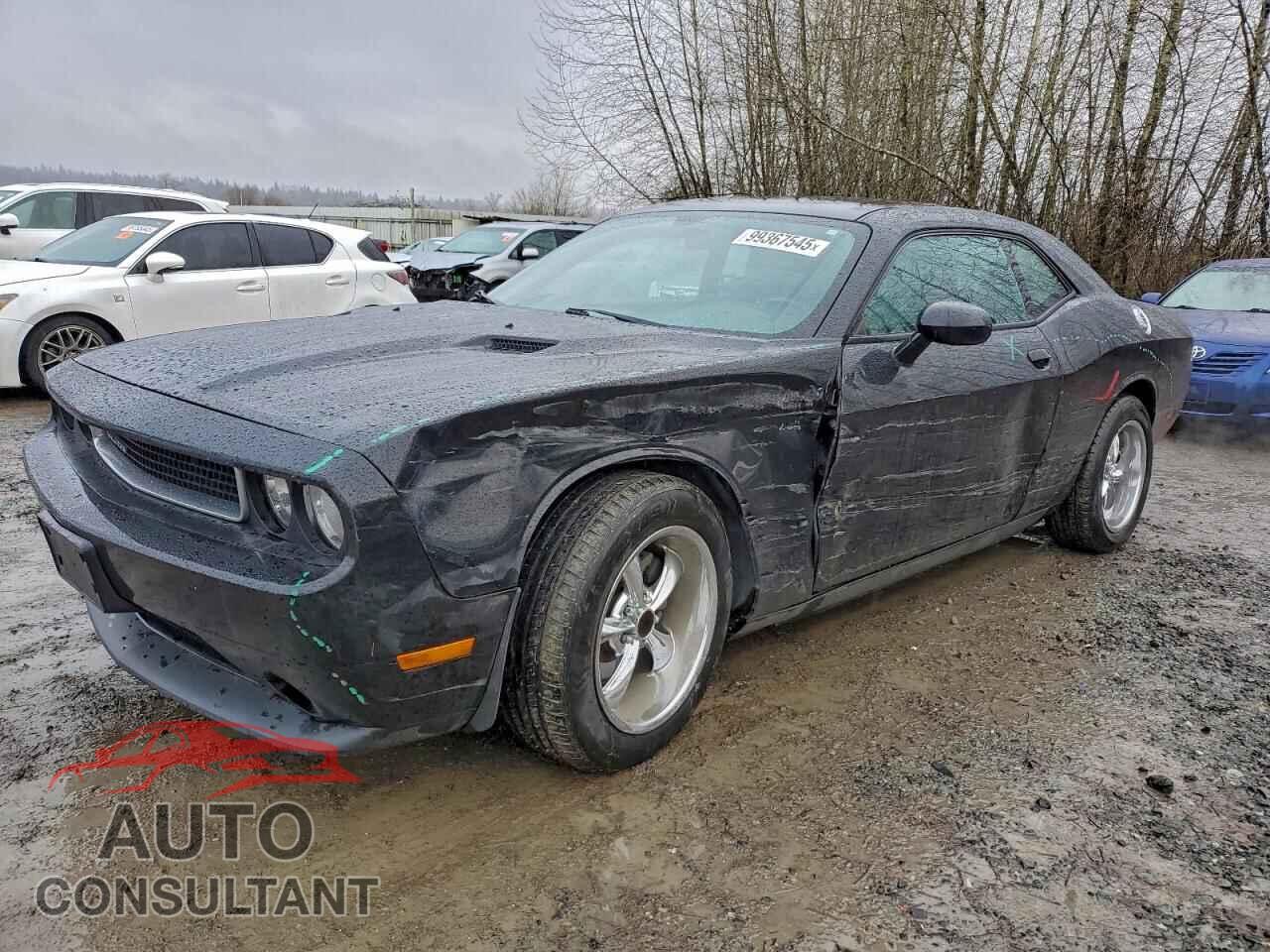 DODGE CHALLENGER 2013 - 2C3CDYAG2DH704735