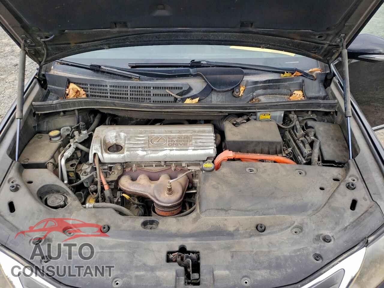 LEXUS HS 2010 - JTHBB1BA4A2003356