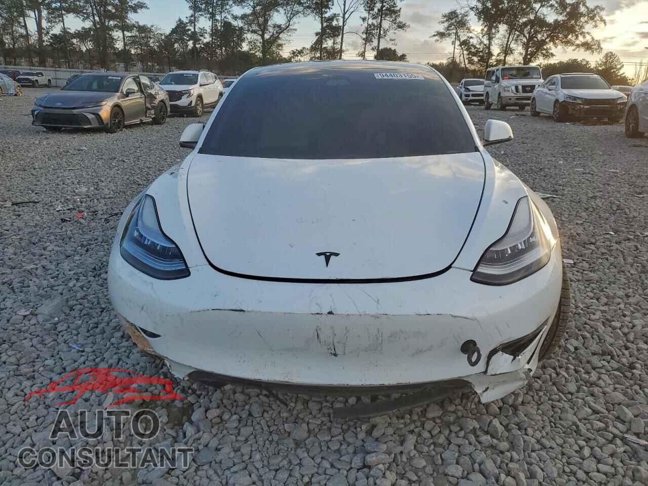 TESLA MODEL 3 2021 - 5YJ3E1EC2MF849741
