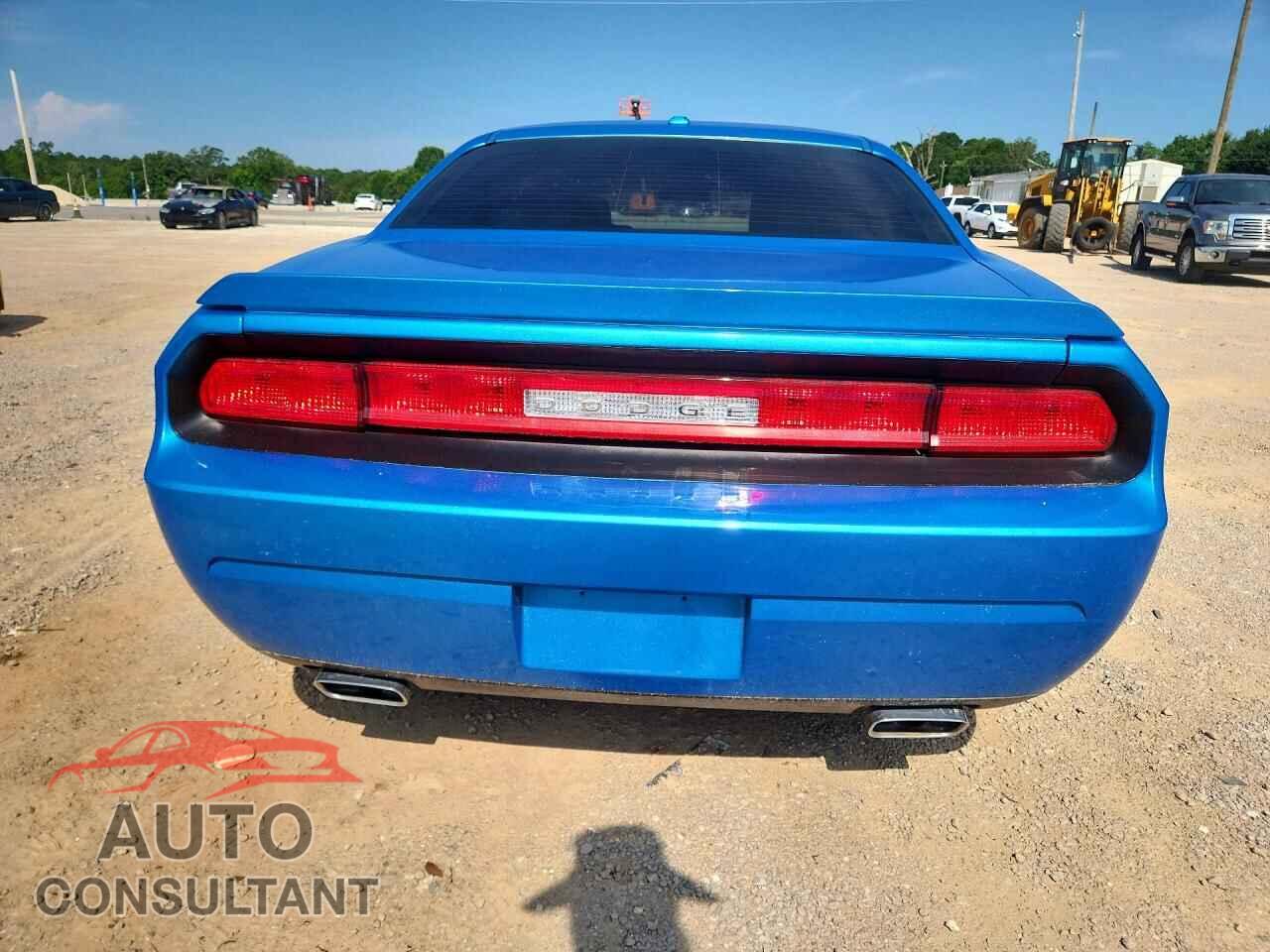 DODGE CHALLENGER 2010 - 2B3CJ5DTXAH130863