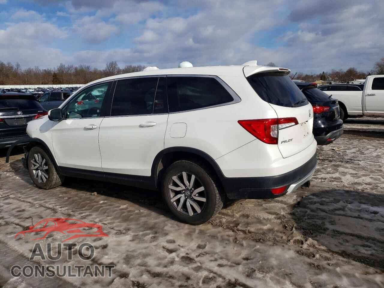 HONDA PILOT 2021 - 5FNYF6H33MB067489