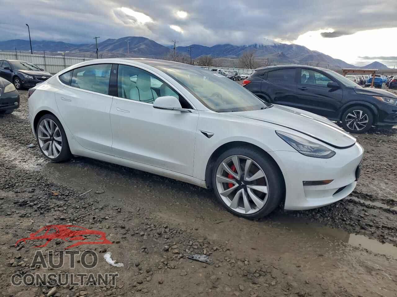 TESLA MODEL 3 2018 - 5YJ3E1EB2JF081584