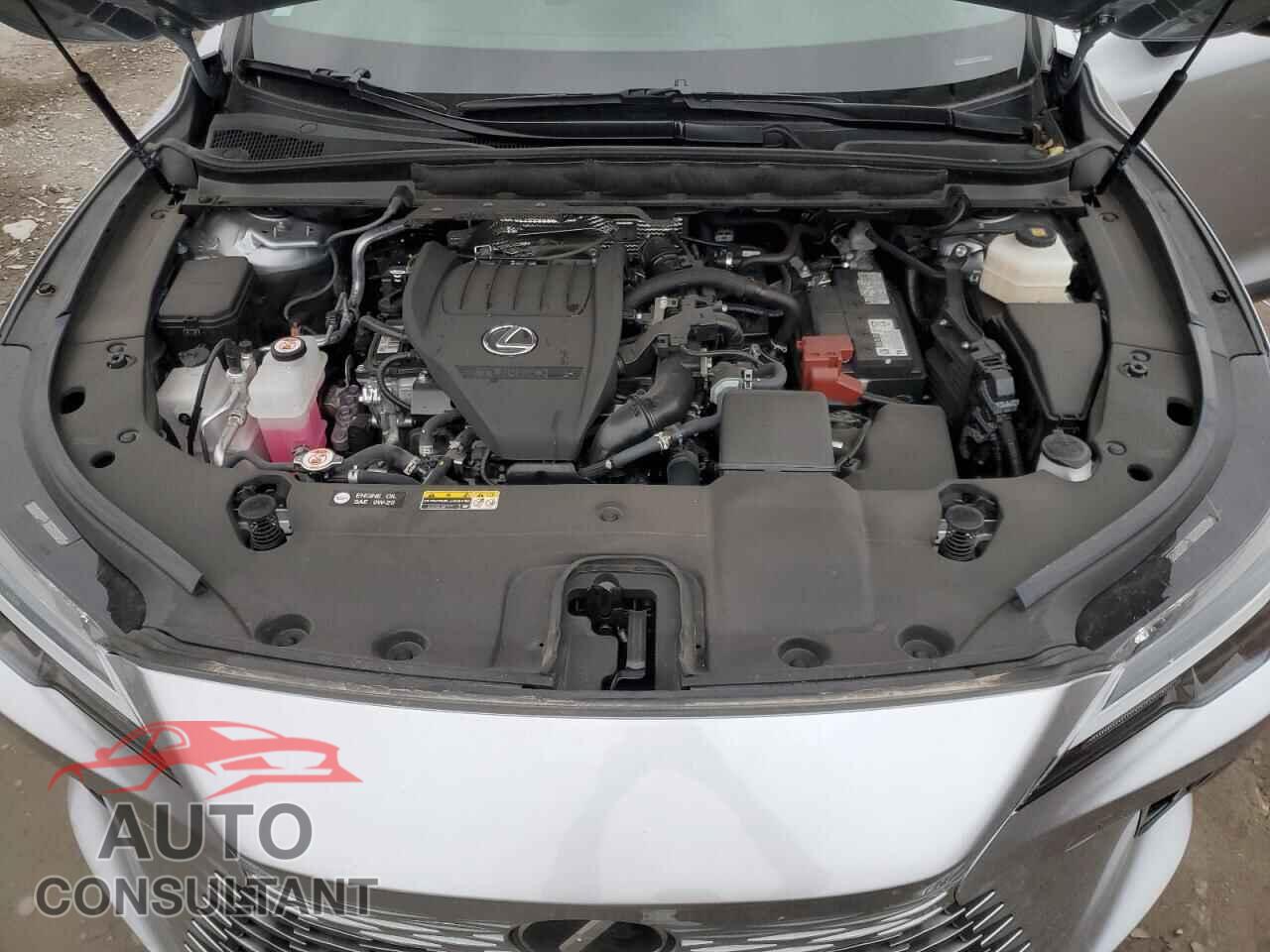 LEXUS RX350 2024 - 2T2BAMBA7RC048256