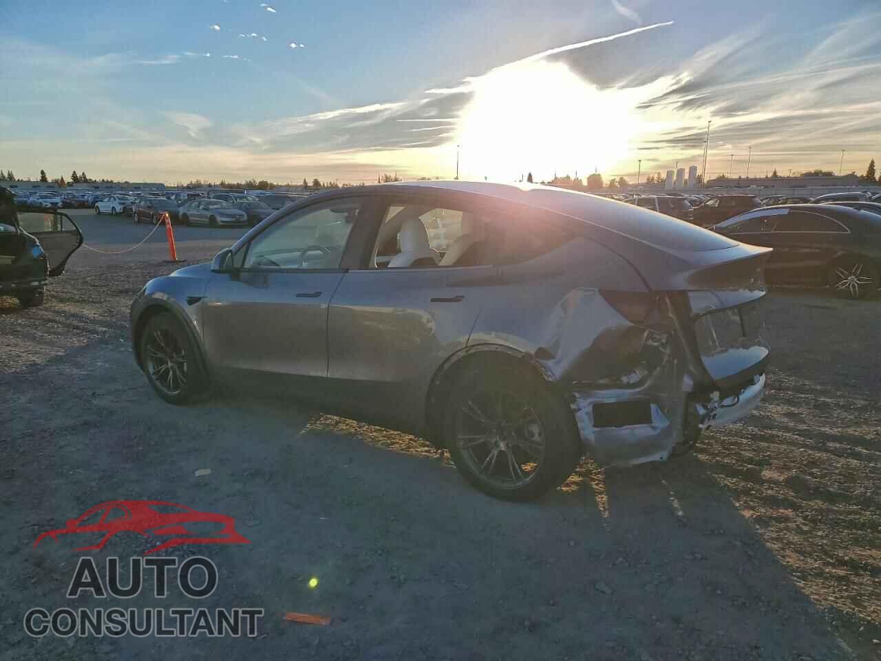 TESLA MODEL Y 2024 - 7SAYGAEE5RF163821
