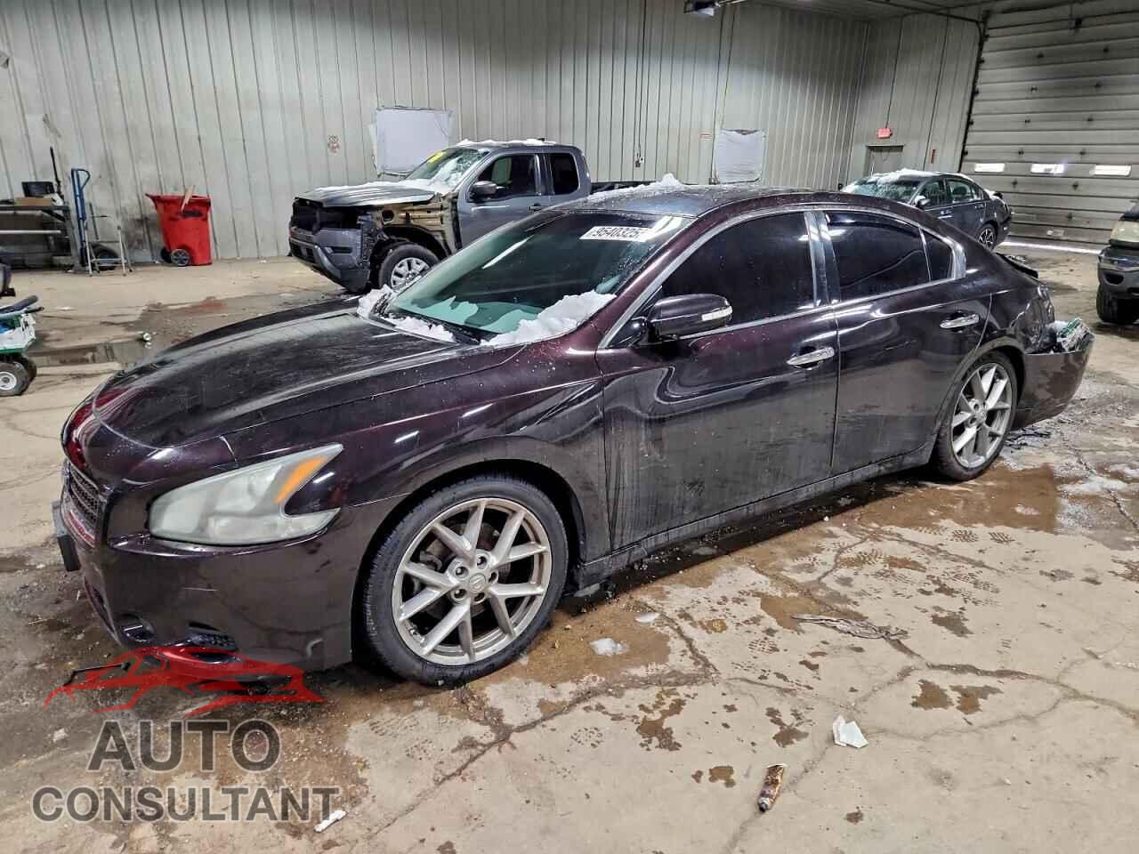 NISSAN MAXIMA 2011 - 1N4AA5AP0BC842984