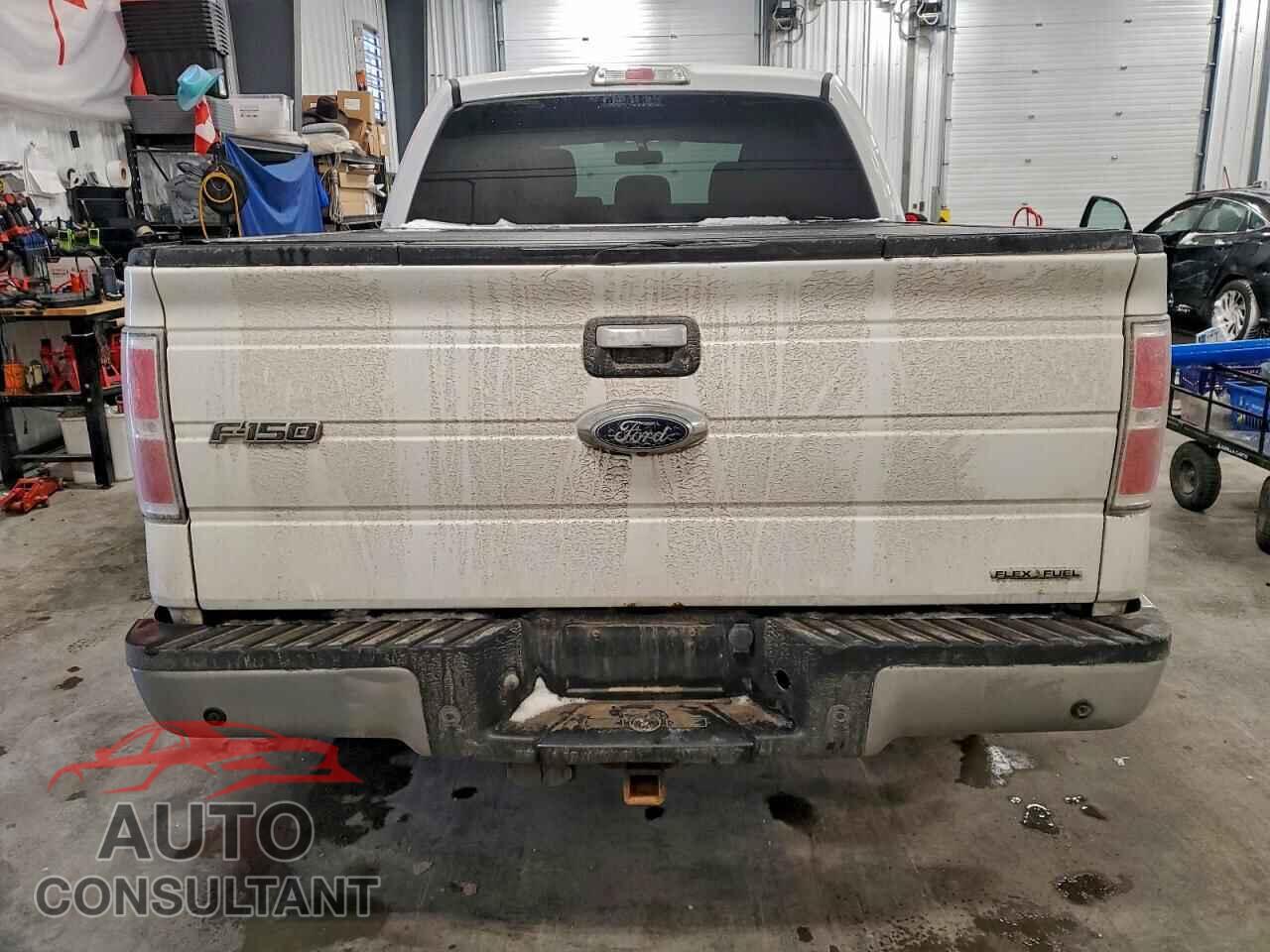 FORD F-150 2013 - 1FTFW1EF3DFC00689