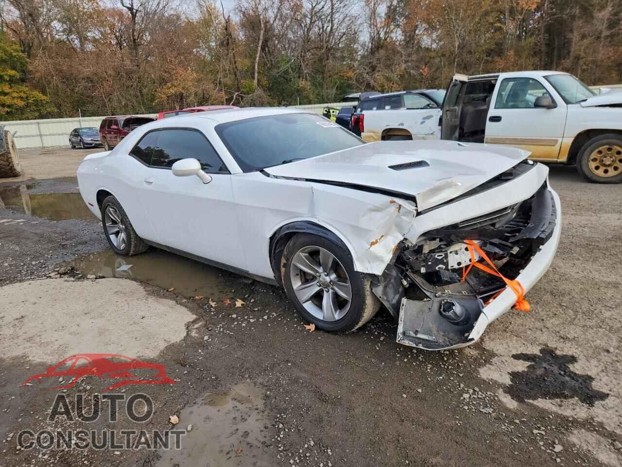 DODGE CHALLENGER 2019 - 2C3CDZAG3KH641972