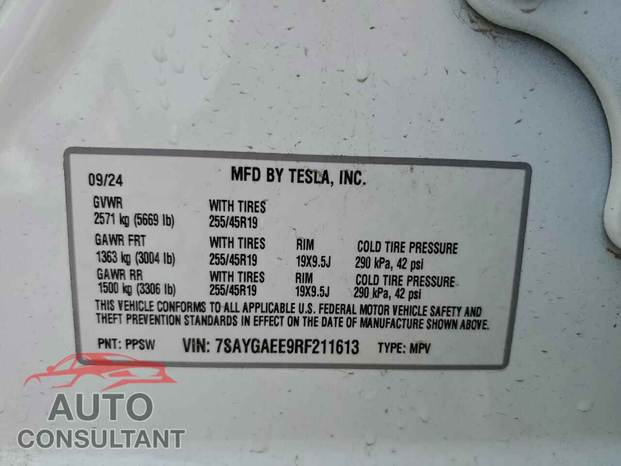 TESLA MODEL Y 2024 - 7SAYGAEE9RF211613