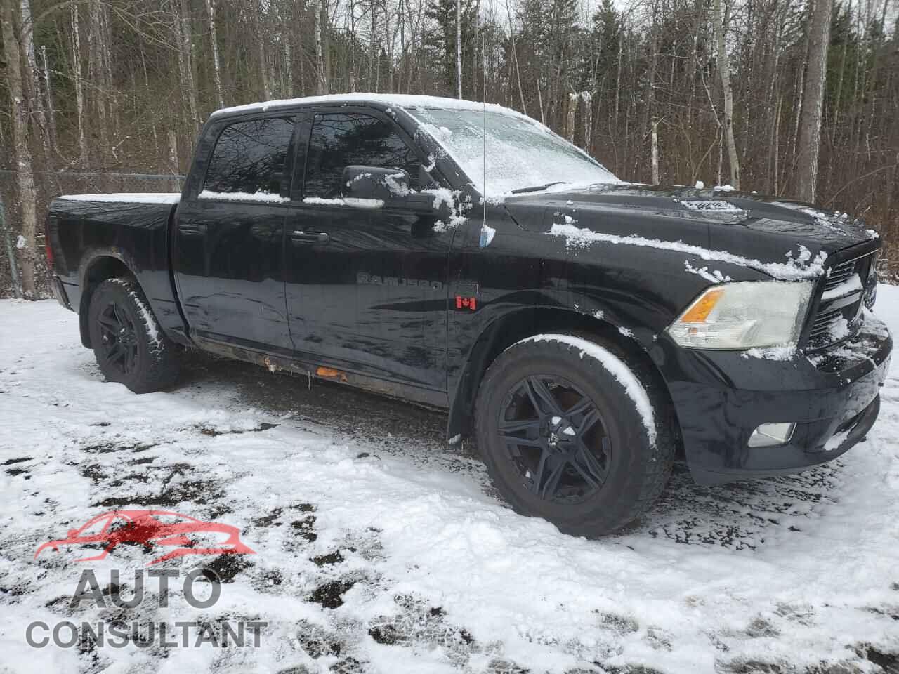 DODGE RAM 1500 2012 - 1C6RD7MT4CS222789