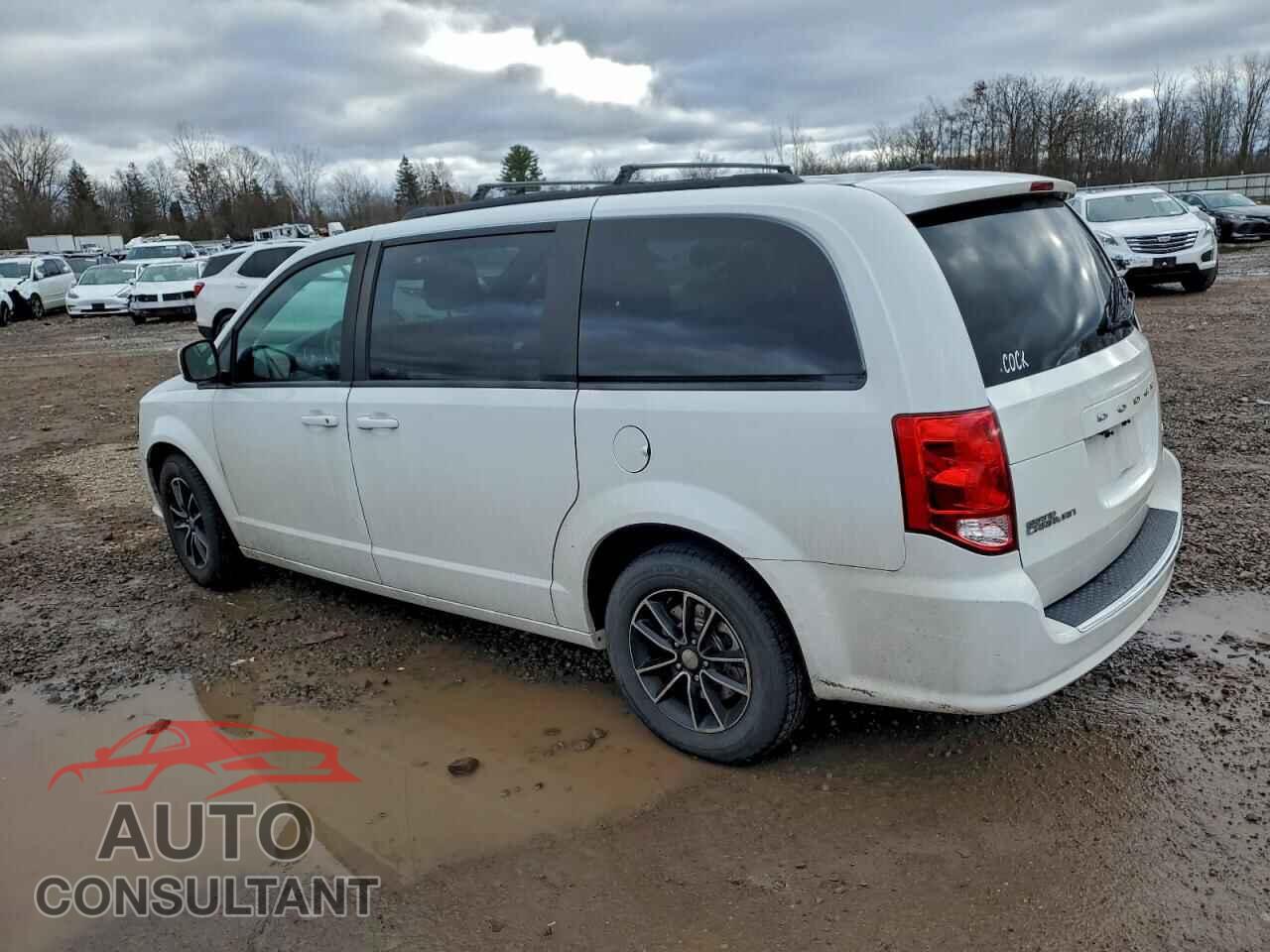 DODGE CARAVAN 2019 - 2C4RDGEG9KR631879