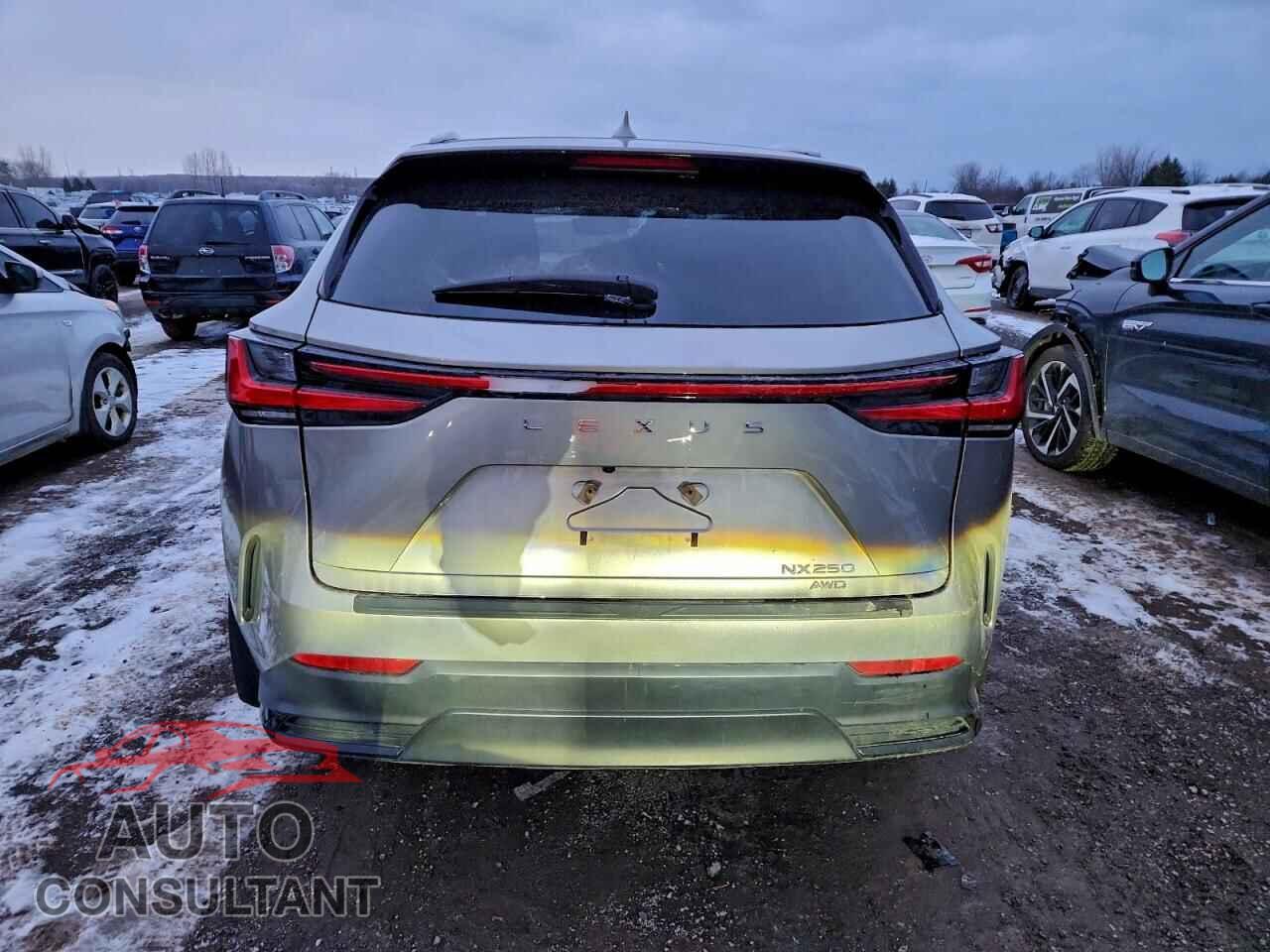 LEXUS NX 250 2022 - 2T2ADCEZ2NC002584