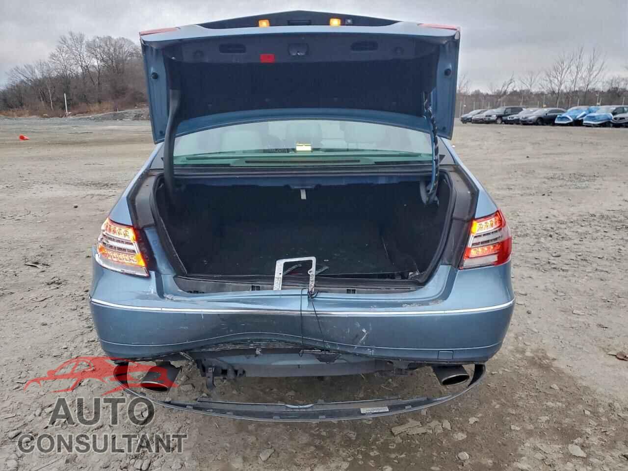 MERCEDES-BENZ E-CLASS 2010 - WDDHF8HB3AA225844
