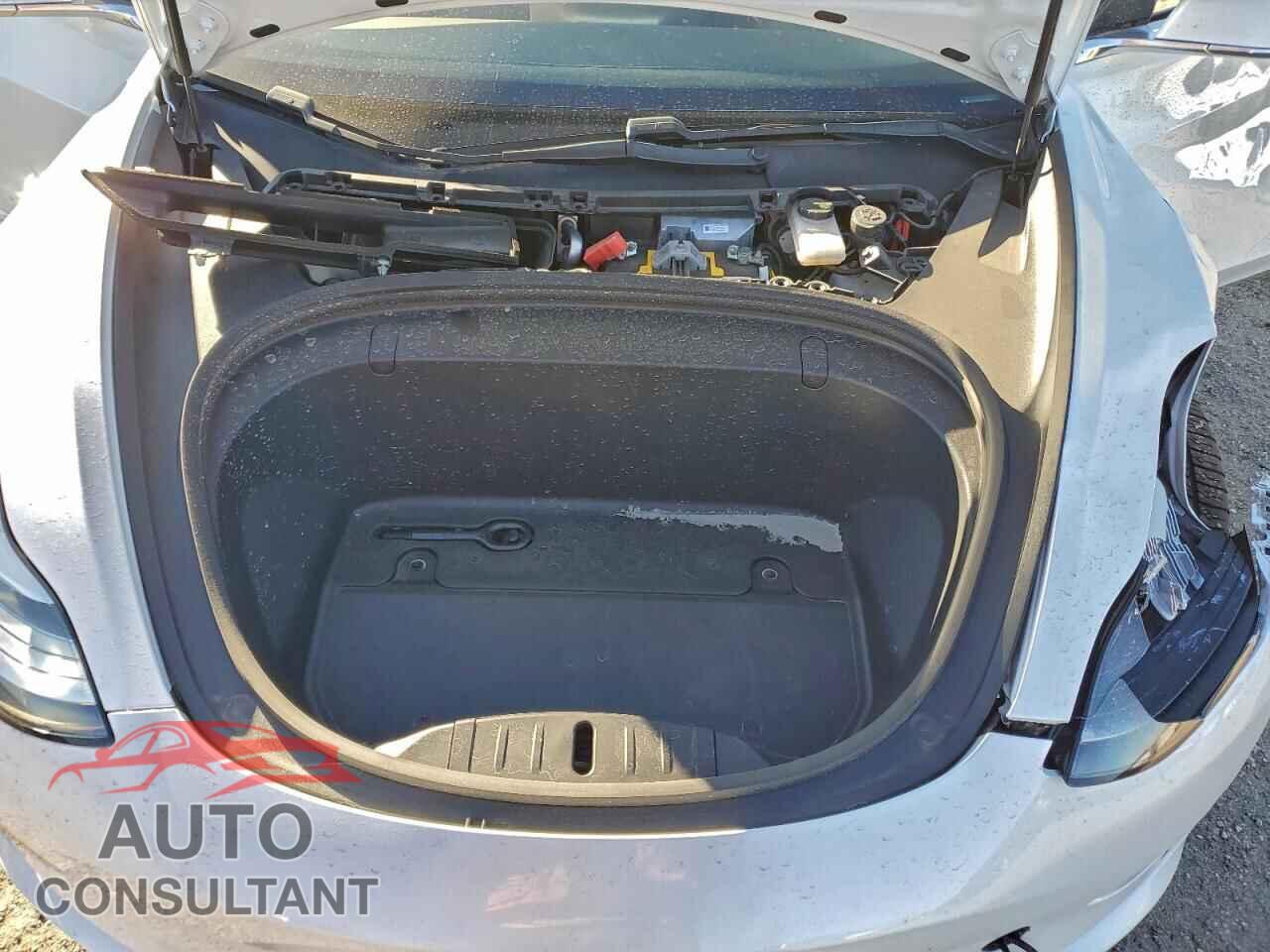 TESLA MODEL 3 2019 - 5YJ3E1EA3KF416599