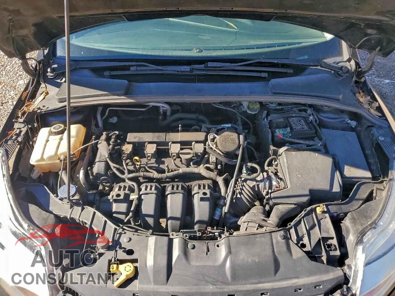 FORD FOCUS 2012 - 1FAHP3N27CL138542