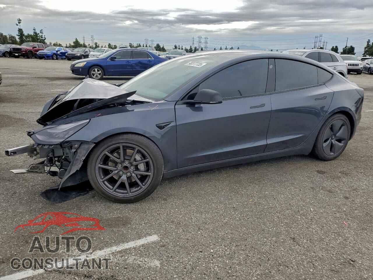TESLA MODEL 3 2019 - 5YJ3E1EA6KF480247