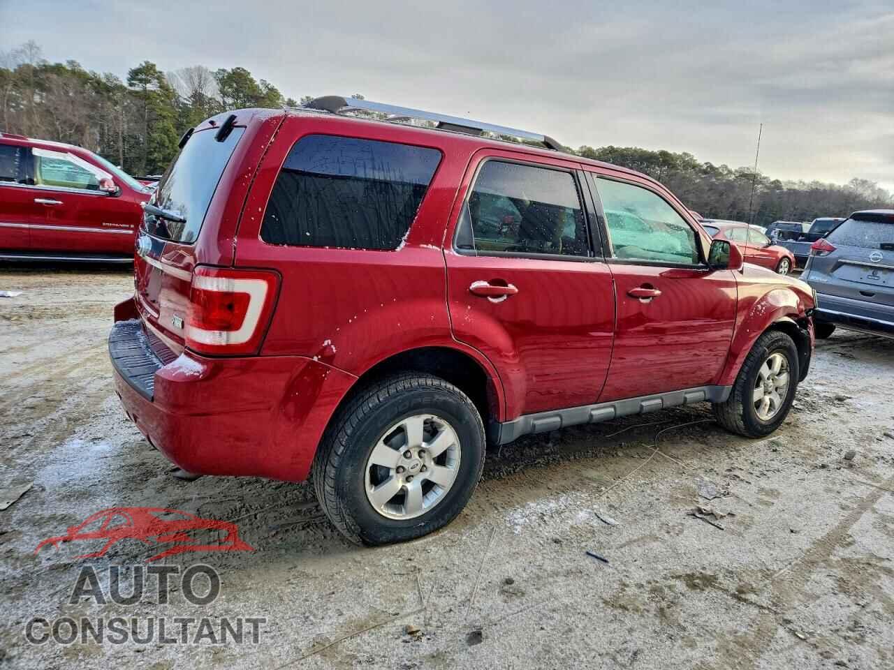 FORD ESCAPE 2011 - 1FMCU0EG0BKC31877